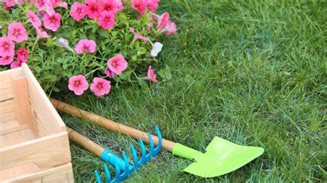 Top Tips For Keeping Your Lawn Green In The Summer