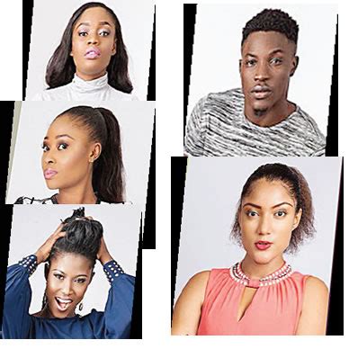 Much ado about Big Brother Naija - Punch Newspapers