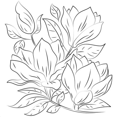 Раскраски Магнолия – Бесплатнo Pаспечатать или Cкачать Oнлайн