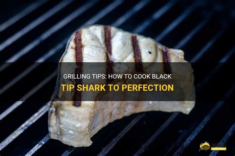 Grilling Tips How To Cook Black Tip Shark To Perfection Shungrill