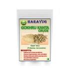 Buy Harayug Gokhru Small Gokharu Chota Tribulus Terrestris