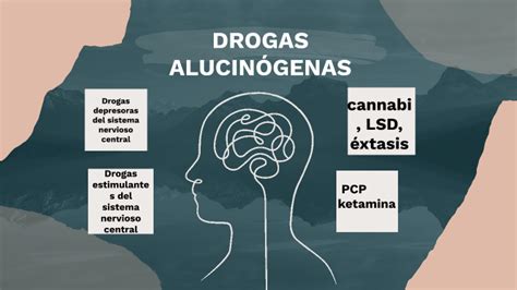 Drogas Alucinogenas By Danna Castillo On Prezi