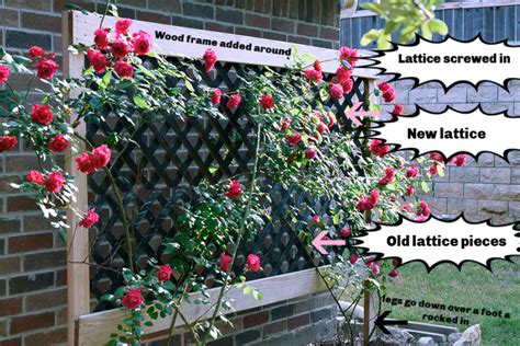 Easy DIY Rose Trellis (Only A Few Supplies Needed)!!