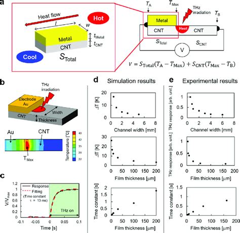 Thermal Analysis Of The Cnt Thz Detector Through Simulations And