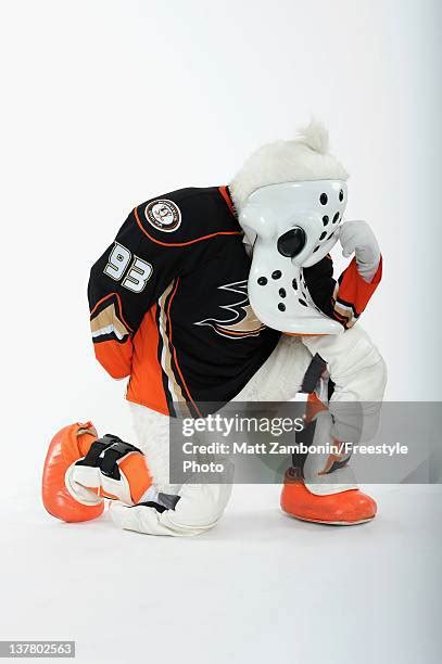 Mighty Ducks Mascot Photos and Premium High Res Pictures - Getty Images