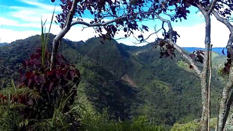 Paisaje Vereda La Trinidad Guayabal De S Quima Youtube