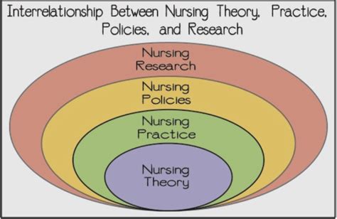 Nursing Theory Nurs 3301 Professional Mobility