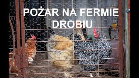 Odcinek 1075 DUŻY POŻAR NA FERMIE DROBIU JAK DO TEGO DOSZŁO PRZYCZYNY