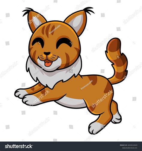 Cute Maine Coon Cat Cartoon Royalty Free Stock Vector