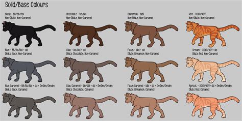 Cat Genetics Guide - Solids by willowwispp on DeviantArt