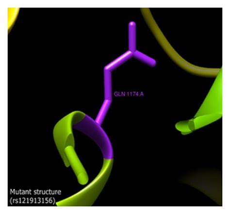 A Comparison Of Amino Acid Substitutions Due To Nssnps Two Mutant