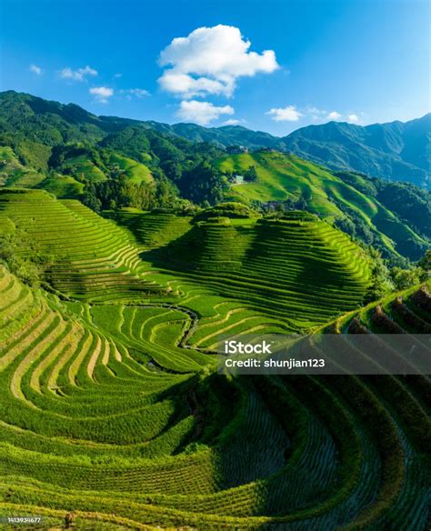 Guilin Longsheng Rice Terraces Stock Photo - Download Image Now - Rice ...