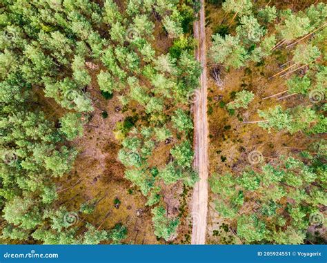 Tuchola Forest In Poland Aerial View Stock Image Image Of Poland