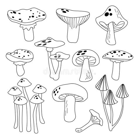 Black And White Mushrooms Set Outline Design Decorative Style