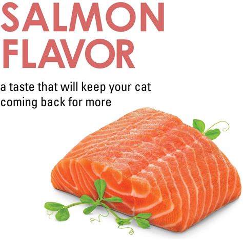 FANCY FEAST Savory Cravings Limited Ingredient Salmon Flavor Cat Treats ...