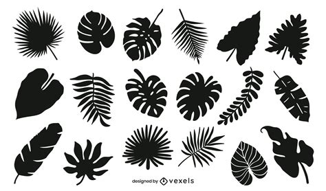 Tropical Leaves Silhouette Pack Vector Download