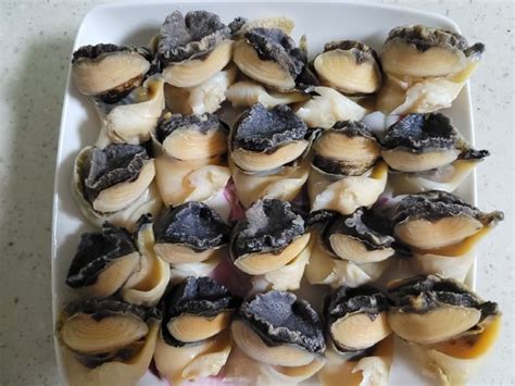 Frozen Boiled Top Shell Meat Tradekorea