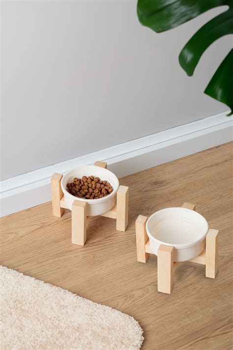 relaxco decoration pet furniture Ahşap Standlı Seramik Kedi Köpek