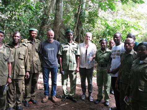 Cross River Gorillas Berggorilla Regenwald Direkthilfe E V