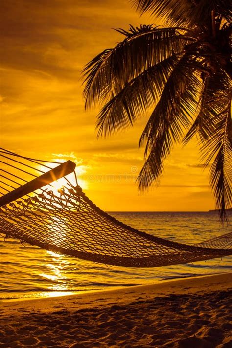 Hammock With Palm Trees On A Beautiful Beach At Sunset Stock Photo