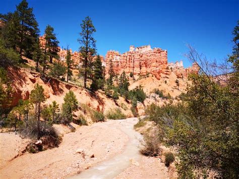 Mossy Cave Trail with kids: why we love this family hike in Bryce Canyon