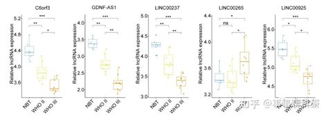 （国自然热点）m6a相关lncrna预后分析 知乎