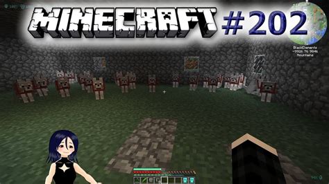 Minecraft 202 Das Ist Irgendwie Eskaliert Kevin YouTube