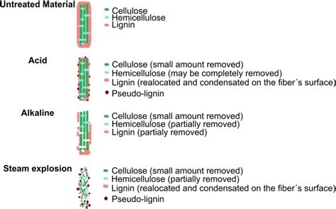 Different pretreatment effects on the lignocellulosic biomass ... 