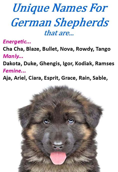 German Shepherd Puppies Names Boy - Pets Lovers