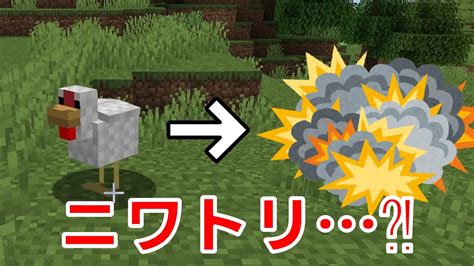 【マイクラmod】爆発するニワトリがいるマイクラ？！ Youtube