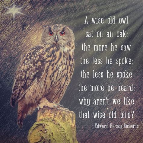 A Wise Old Owl Poem - leafonsand