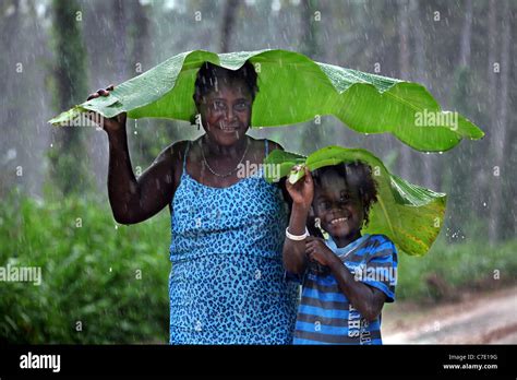 Banana Leaf Umbrella Photos Outlet Stores | www.gbu-presnenskij.ru