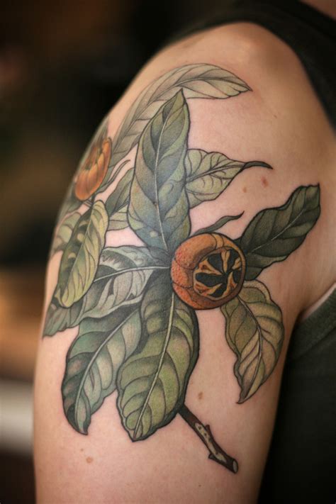 Wonderland Tattoos - Stunning botanical illustration tattoo of Medlar...