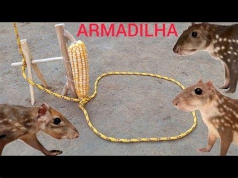 Armadilha Para Pegar Diversos Tipos De Animais Paca Tatu Capivara E