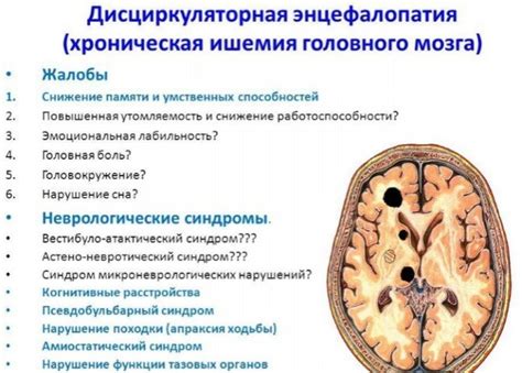 Дисциркуляторная энцефалопатия 1 и 2 степени, причины, лечение, прогноз