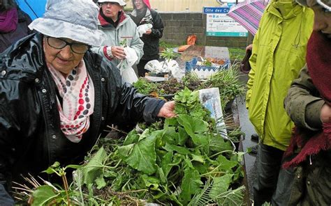 Bourse Aux Plants Le Succ S Malgr La Pluie Le T L Gramme