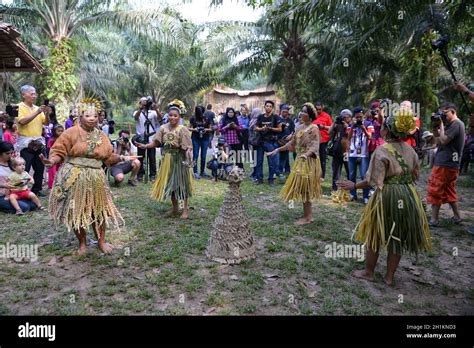 Carey Island, Selangor/Malaysia - Mar 17 2018: Malaysia aborigines Mah ...