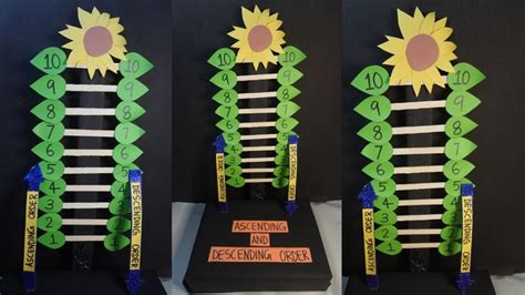 maths project  ascending  descending order math project model