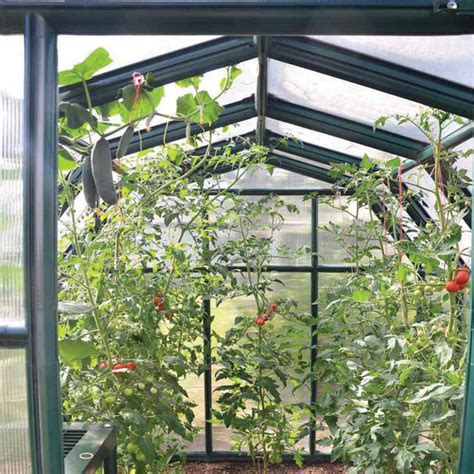 Palram Polycarbonate 6 X 8ft Canopia Eco Grow Greenhouse Wilko