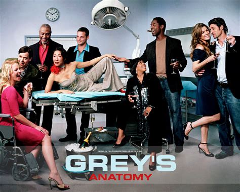 Greys Anatomy Poster Gallery2 Tv Series Posters And Cast