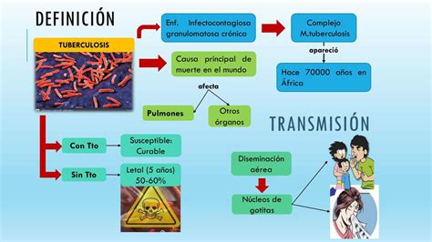 Tuberculosis Etiolog A Mecanismo Y Tratamiento Bbarrososmedic Udocz