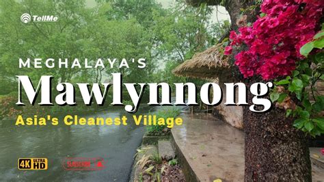 Reasons Mawlynnong Is Asia S Cleanest Village You Never Knew Youtube