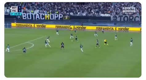 Botafogo sai na frente do placar contra o Palmeiras vídeo