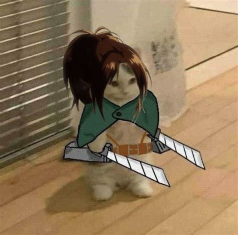 Pin On Attack On Titan Anime Attack On Titan Anime Cat