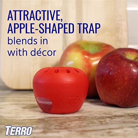 Terro T2502 Ready To Use Indoor Fruit Fly Trap With Built In Window 2 Traps 90 Day Lure