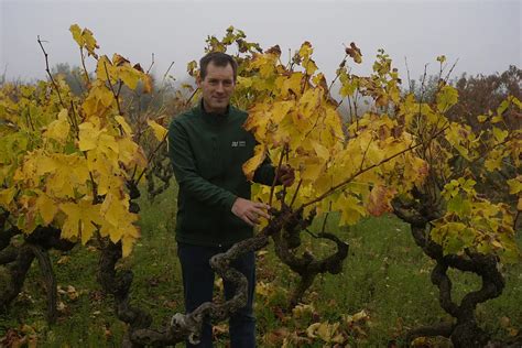 Viticultores De La Rioja Pa S Vasco Y Navarra Se Unen Para