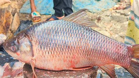 Fastest Big Rohu Fish Cutting In Fish Market Fish Cutting Skills