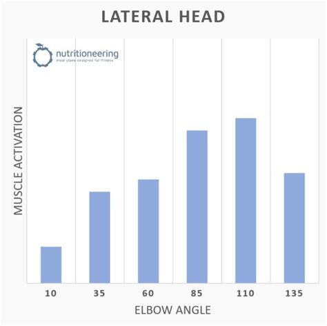 13 Top Lateral Head Tricep Exercises for Chiseled Arms