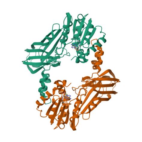 Rcsb Pdb Shr Crystal Structure Of Prmt With Compound Yd