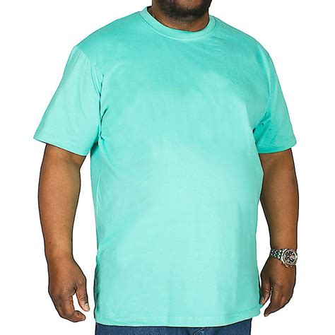 Bigdude Plain Crew Neck T Shirt Turquoise Bigdude